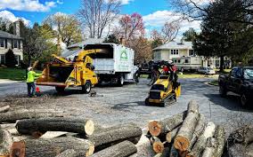 Best Emergency Tree Removal  in Prairieville, LA